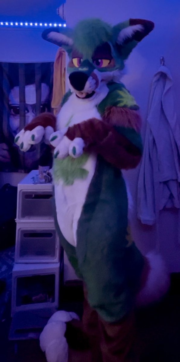 Everyone say hi to Kush! She’ll out-smoke you any day 😤
She was made by <a href="/MadeFurYou/">Made Fur You</a>; Kush found her forever home here, so catch her chilling at a con near you :) 🍃🙏