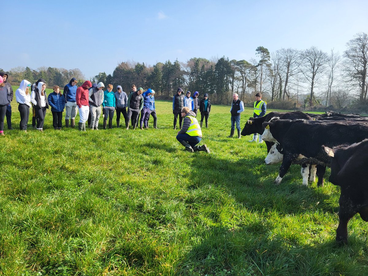 Deirdre Hennessy (@hennessydeirdre) on Twitter photo <a href="/UCC/">UCC Ireland</a> 1st Year Agricultural Science Students had a great introduction to dairy calf to beef from <a href="/JamieODriscol10/">Jamie O'Driscoll</a> and <a href="/nicholaslbyrne/">Nicky Byrne</a> and suckler systems from <a href="/PeterDoyle_1/">Peter Doyle</a> <a href="/teagasc/">Teagasc</a> Grange. Even the cattle were listening! <a href="/DHeifers/">Frank Buckley</a> <a href="/burchill_w/">William burchill</a> <a href="/aoife_leader/">Aoife Leader</a> <a href="/uccBEES/">Biological, Earth & Environmental Sciences, UCC</a> <a href="/UCC/">UCC Ireland</a> 1st Year Agricultural Science Students had a great introduction to dairy calf to beef from <a href="/JamieODriscol10/">Jamie O'Driscoll</a> and <a href="/nicholaslbyrne/">Nicky Byrne</a> and suckler systems from <a href="/PeterDoyle_1/">Peter Doyle</a> <a href="/teagasc/">Teagasc</a> Grange. Even the cattle were listening! <a href="/DHeifers/">Frank Buckley</a> <a href="/burchill_w/">William burchill</a> <a href="/aoife_leader/">Aoife Leader</a> <a href="/uccBEES/">Biological, Earth & Environmental Sciences, UCC</a>