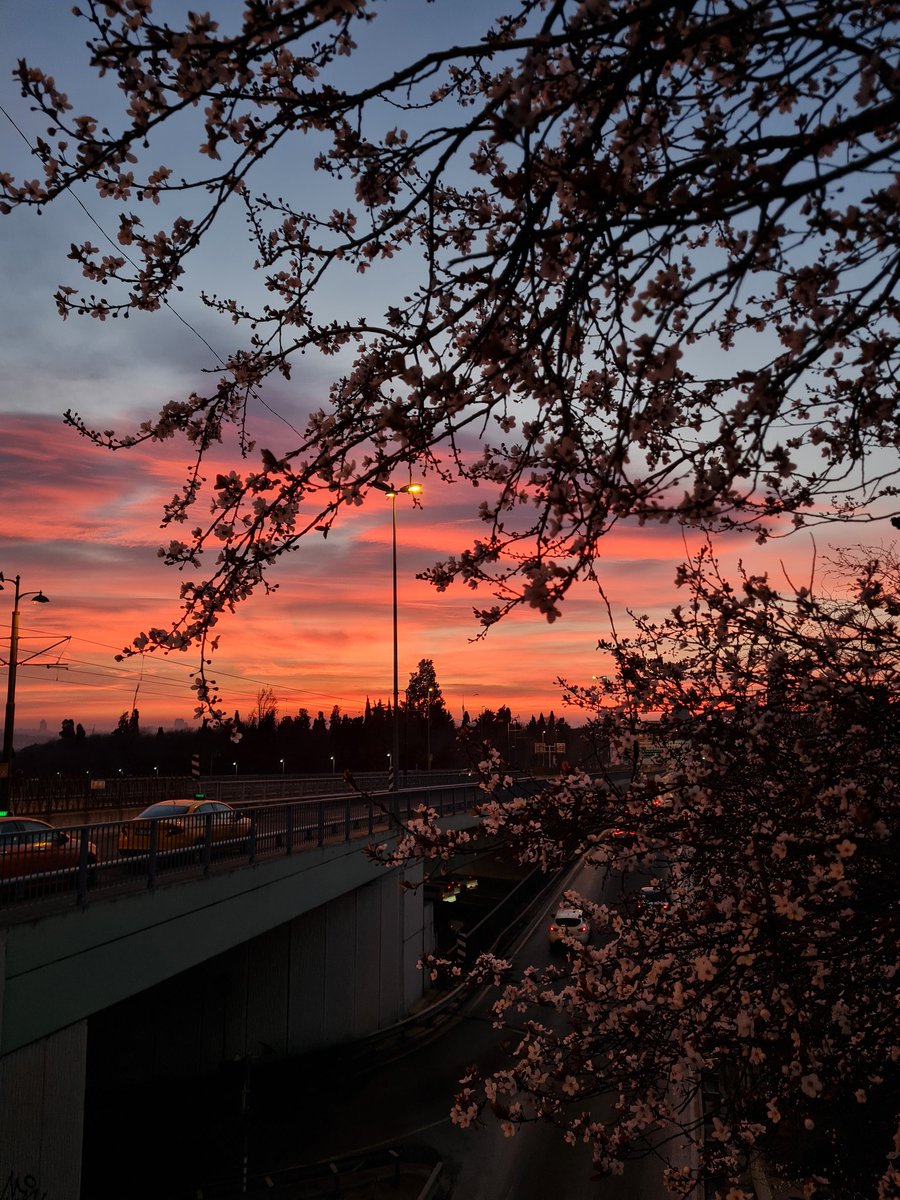 Şöyle bir gün doğumuna uyandık🌞