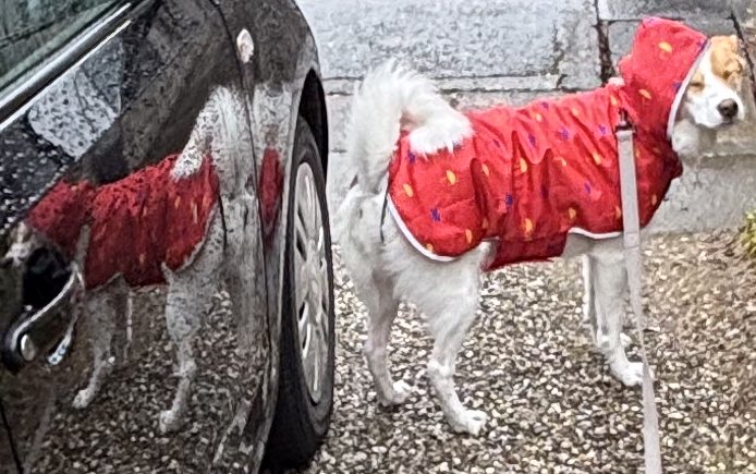 inullnuit (@inullnuit) on Twitter photo 