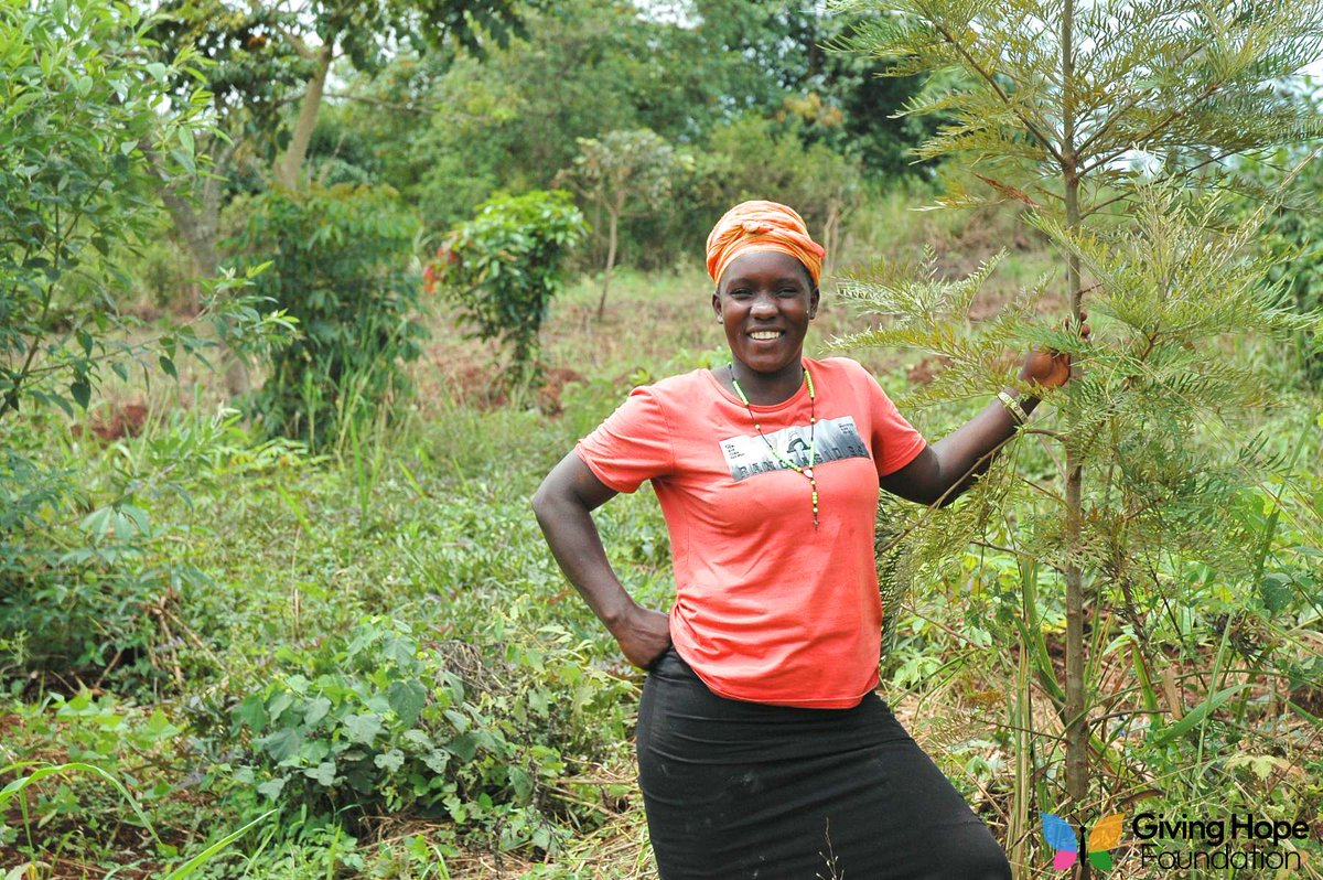 Our Top 6 from 2024 🎉 - mailchi.mp/dbafd122e74c/e…