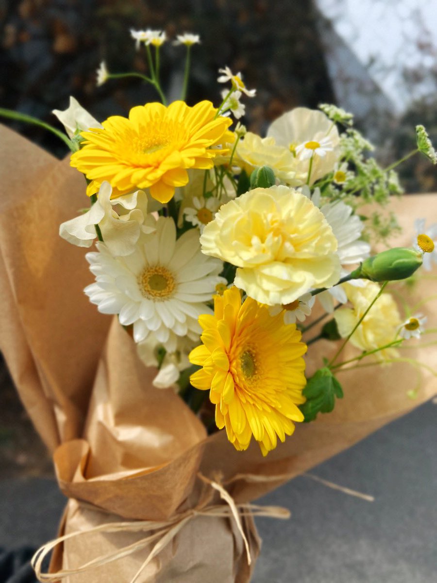LloydD_clips's tweet image. 久しぶりのお花🌿🌼*･

#アレンジメント #ガーベラ