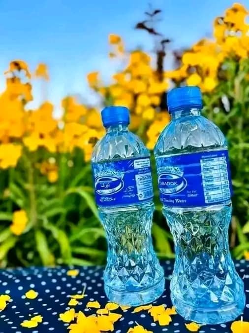 مينه ♥️
ښه ده خو چي وفا پکي وي 💯
♥️♥️♥️♥️