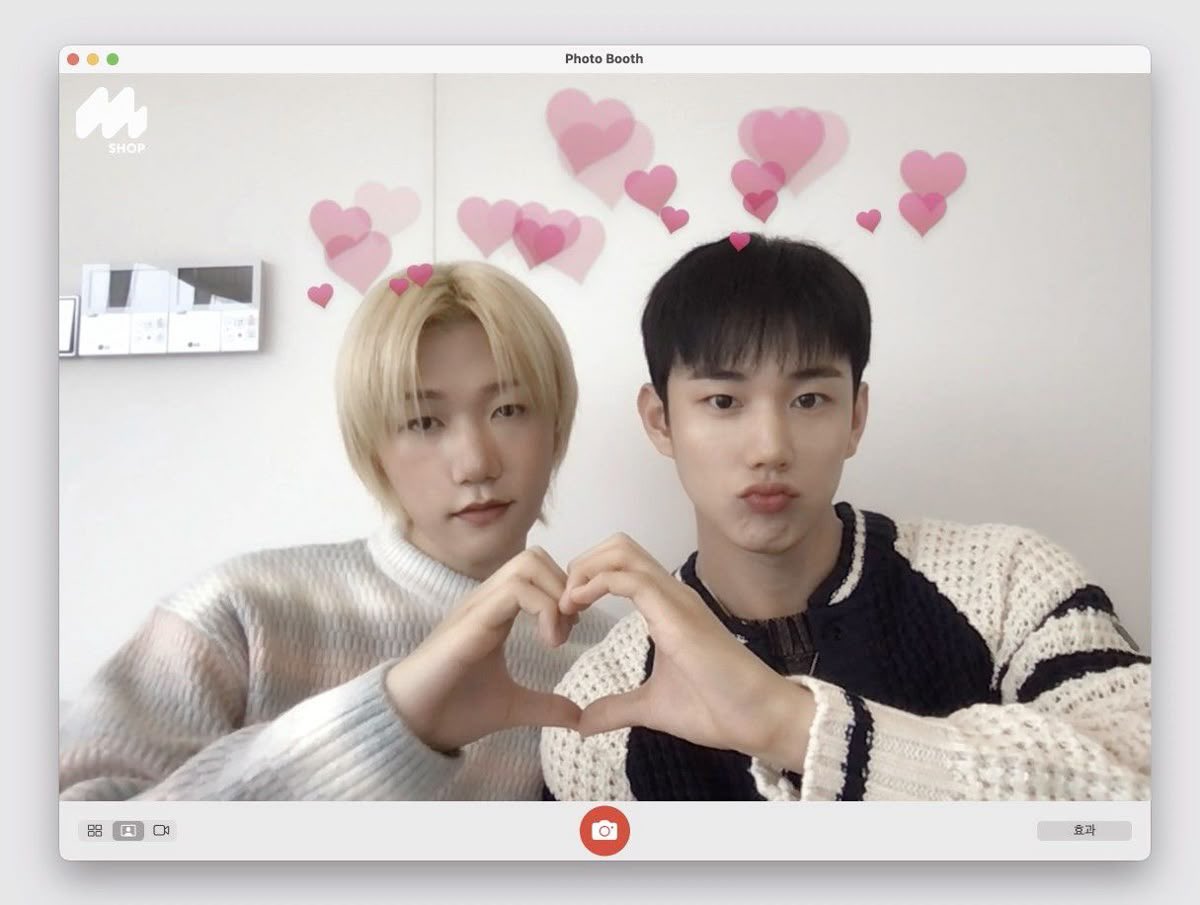 오늘은 wasp twins