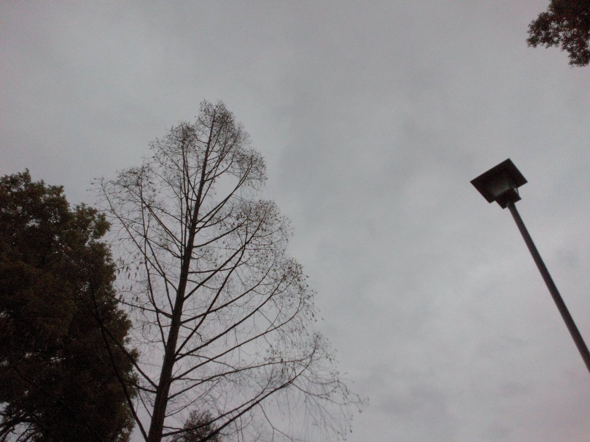 LSS85174130's tweet photo. おはようございます。

今朝の空模様は雨☔

#今日は何の日 
#いのちの日
#おうえんの日
#防災意識を育てる日
#おくる防災の日

本日も体調管理と感染症対策に
気を付けてお過ごし下さい。

#名古屋市中区 
#大須 
#イマソラ https://t.co/cNuV6iLNuM