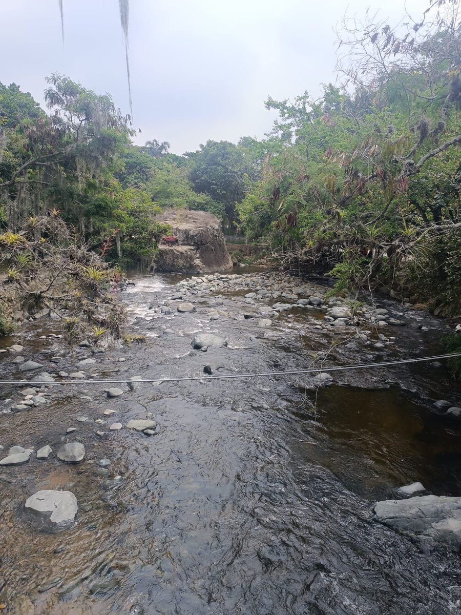 Fun_Univerde's tweet photo. Les invitamos a visitar el #jardinbotanicocali, un paso más para dar a conocer la riqueza natural de Cali, Colombia y su poderosa oferta ambiental para atraer inversiones y turismo. Lo tenemos todo! @zoologicodecali  @AlcaldiaDeCali https://t.co/b3lGYQa3zA