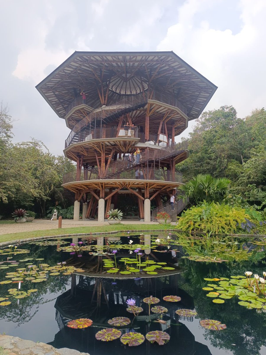Fun_Univerde's tweet photo. Les invitamos a visitar el #jardinbotanicocali, un paso más para dar a conocer la riqueza natural de Cali, Colombia y su poderosa oferta ambiental para atraer inversiones y turismo. Lo tenemos todo! @zoologicodecali  @AlcaldiaDeCali https://t.co/b3lGYQa3zA