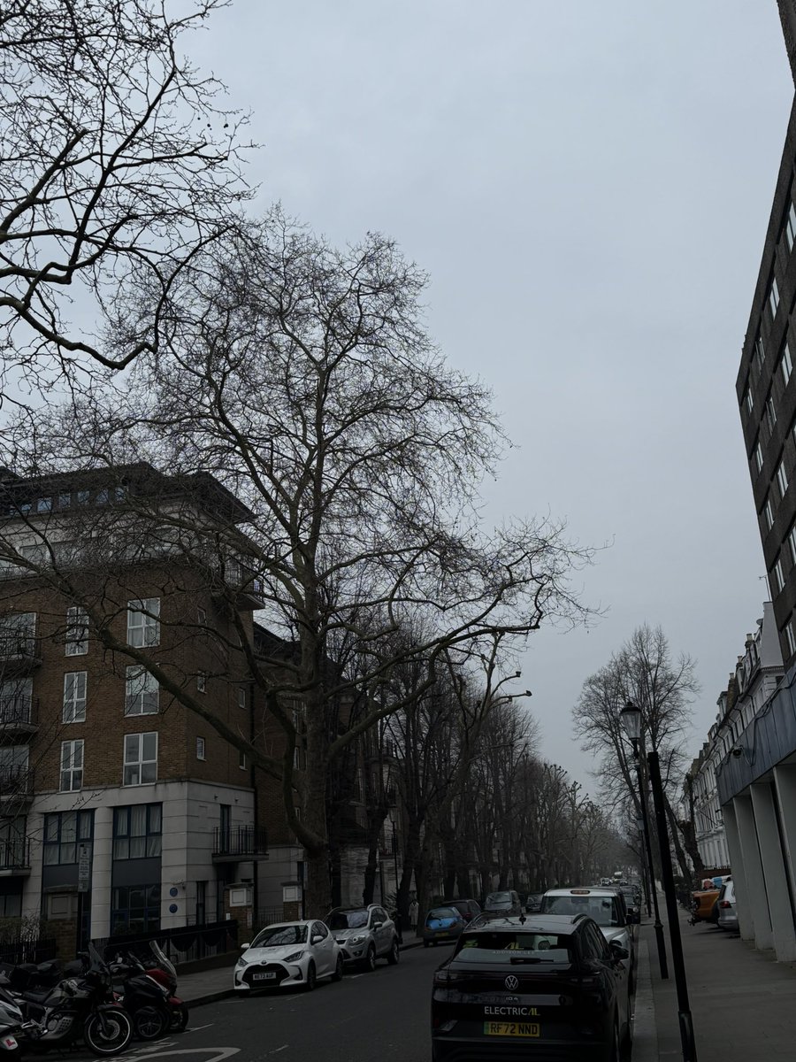 ALVINTure's tweet photo. 🇬🇧 https://t.co/wYiU0uXLv4