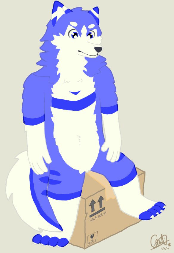 gdwt_gd's tweet image. box wolf