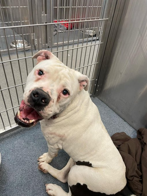 Suspense tweet media