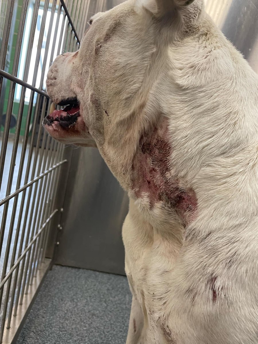 Suspense tweet media