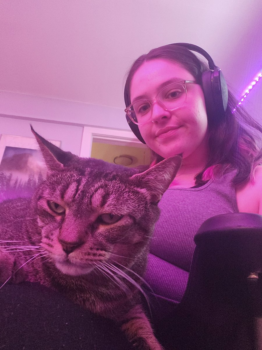 highlyhp's tweet image. come chill with us over at twitch.tv/highlyhp 🌸