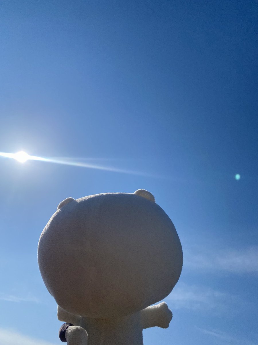 おはぐり🕊️

…ってまいにちいえるのは
あたりまえじゃないぐりね。

あの日から14ねん。

宮城・東北のテレビ局として
みんなのこころに
すこしでもよりそいながら…

ぼくたちはきょうも
発信をつづけていくぐりよ📡

#東日本大震災から14年 
#3月11日