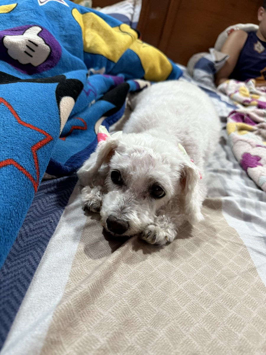 mimamasabe's tweet photo. Te voy a amar toda la vida 😭🥹 https://t.co/cqdF7MokjF