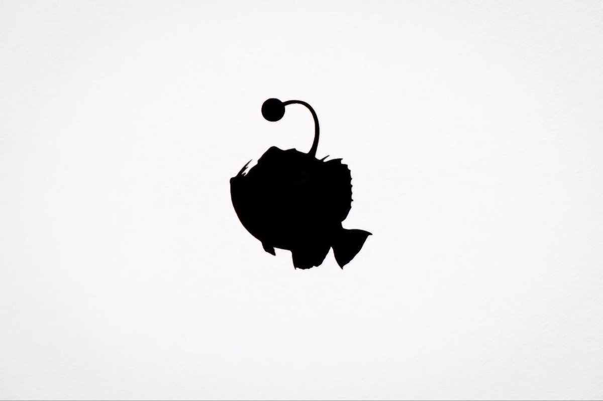 Anglerfish coded. 

Gn