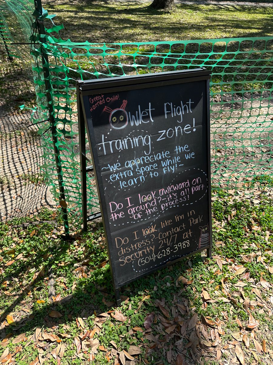 Michael Isaac Stein tweet media