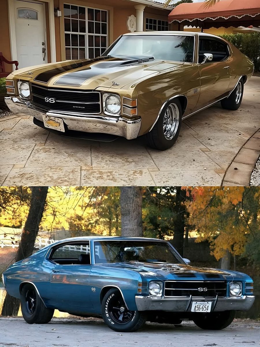 Trevor Donovan tweet media