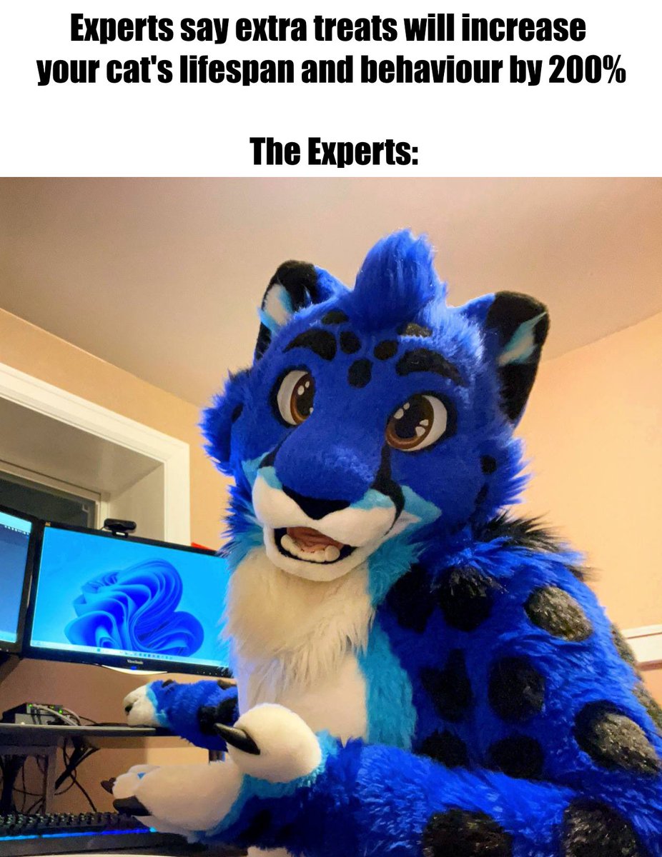 Feed me more treats! 😸🍪