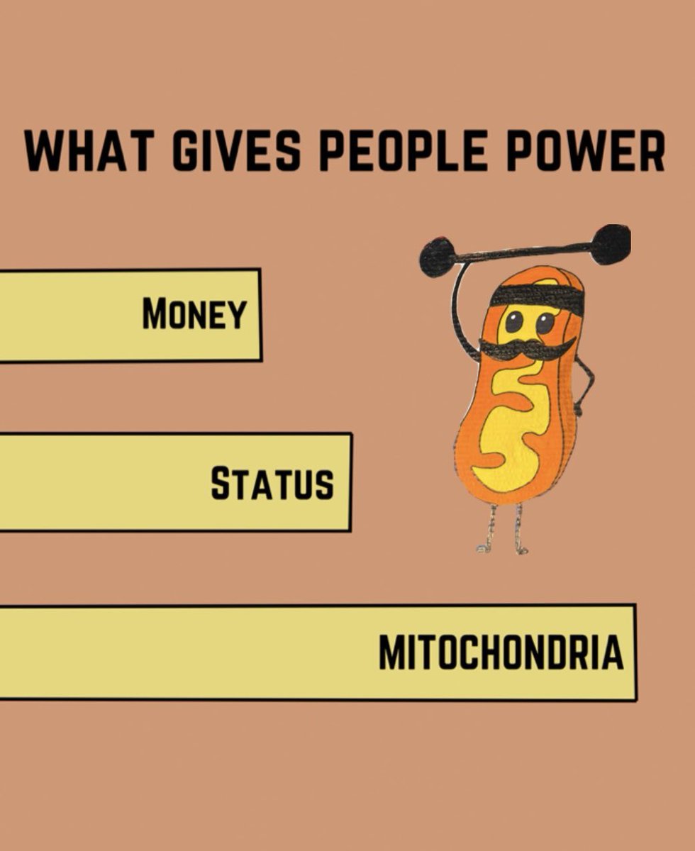 mitochondria tweet media