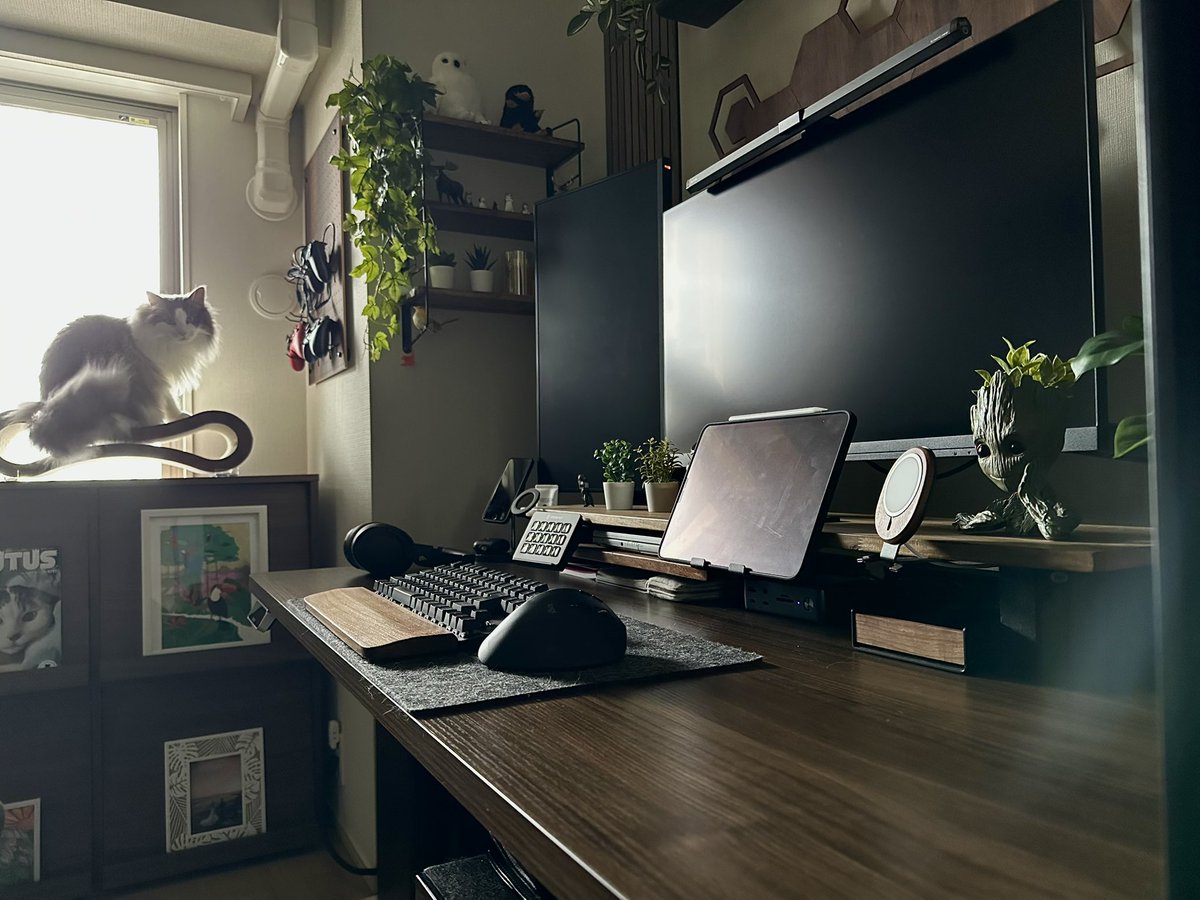 RYO_limeshouse's tweet photo. おはようございます☀
#desksetup https://t.co/a7raNqtFSp
