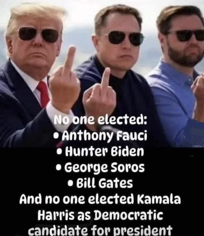 “No one elected Elon.”
-Democrats