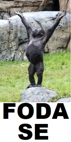 oSaymonista 🇪🇪 tweet media