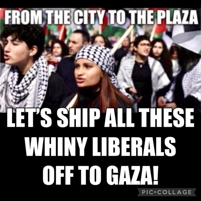 <a href="/VividProwess/">Vivid.🇮🇱</a>