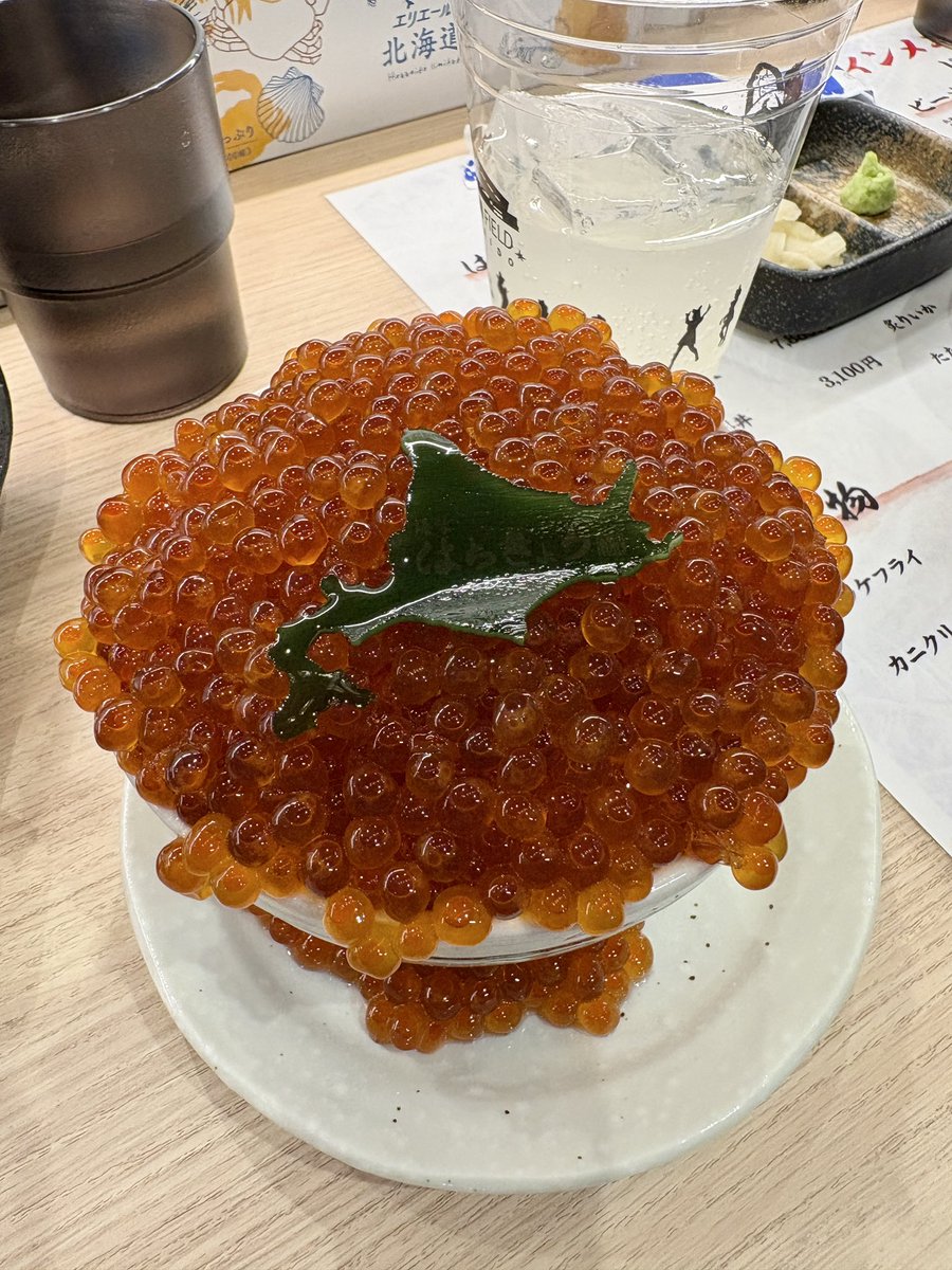 Dra__chi's tweet photo. 2025.3.8
念願のエスコン❕たくさんチャンテ歌って球場もグルメも試合も8時間大満喫した❄️

#中日ドラゴンズ
#エスコンフィールドHOKKAIDO https://t.co/sT1gTr4TOf