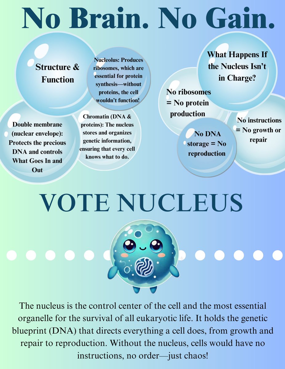 Norman The Nucleus tweet media