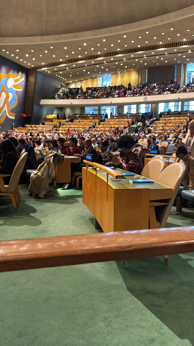 vanyaradzayi's tweet photo. Congratulations @UN_CSW #CSW69 for adopting the Political Declaration by Consensus today.

#Beijing30 
@UN_Women https://t.co/7CQoto1cvJ