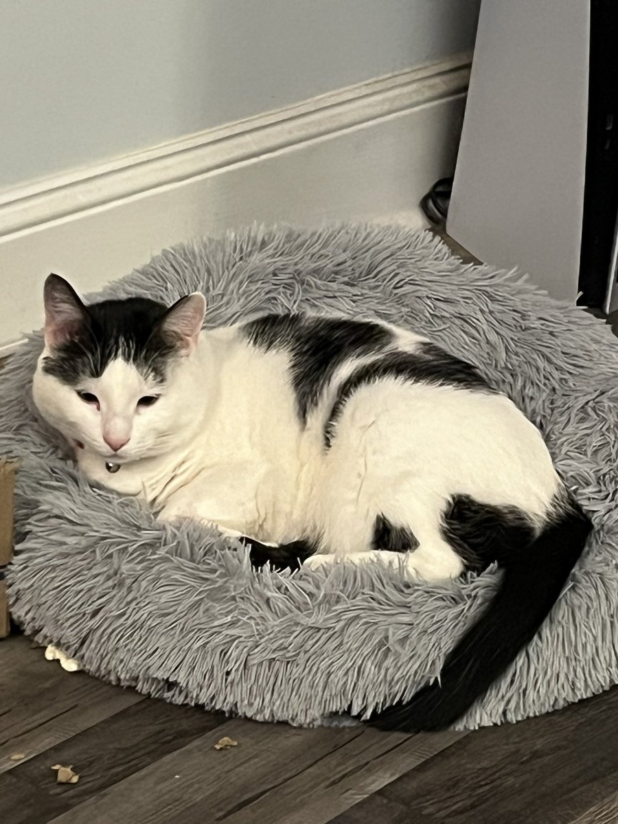 echo262's tweet image. 