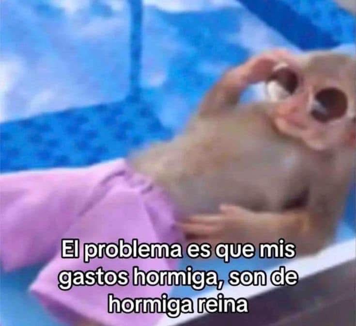 El problema.