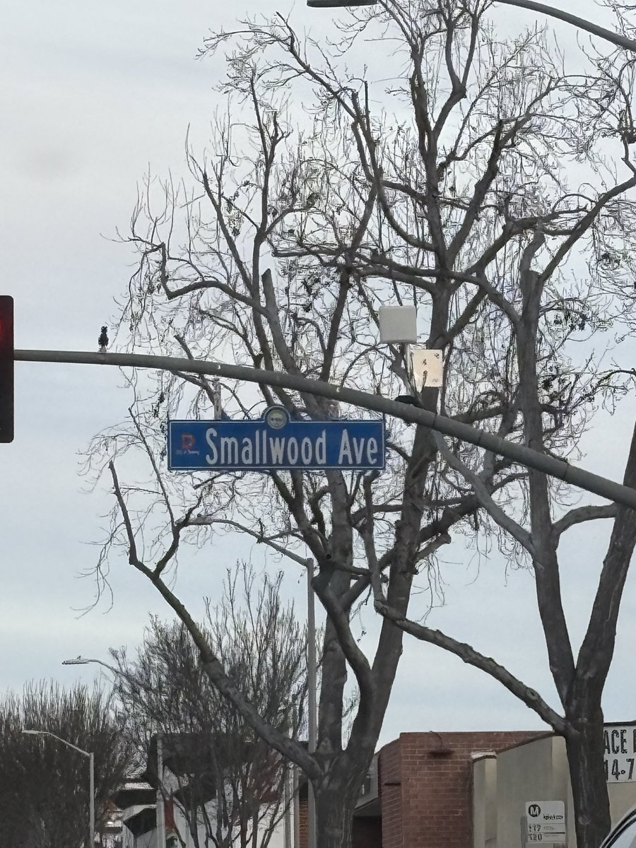 JrThaRawest's tweet photo. I know some of Yall need to move here 😂😂💯💯💀💀💀 https://t.co/fS9fVynvZN
