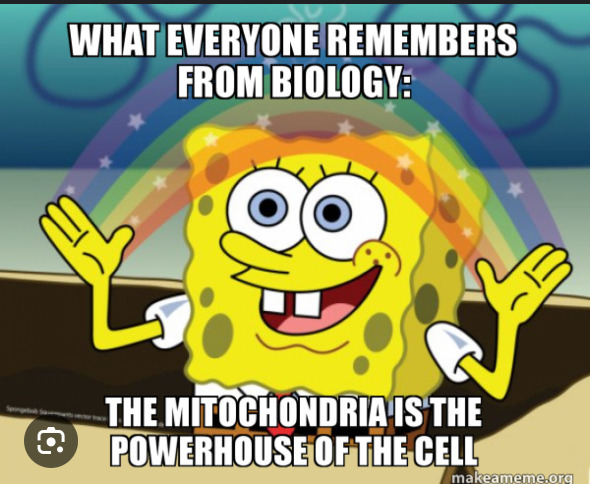 WHS SCIENCE tweet media