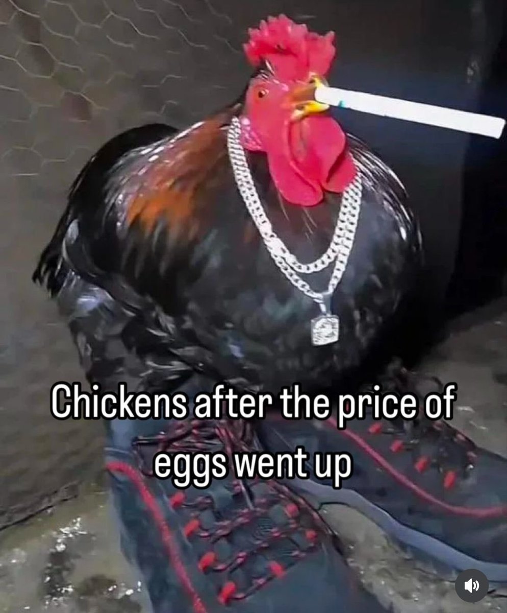 i like food tweet media