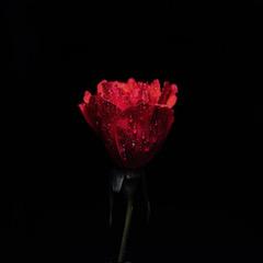 #NowPlaying Tonight's #DebrisDebut
'Roses' by Toby Charlesworth
Welcome to the Familia! 😍🎸🎤🎵
🎧▶️player.live365.com/a20743?l
FOLLOW TOBY CHARLESWORTH
instagram.com/tobycharleswor…