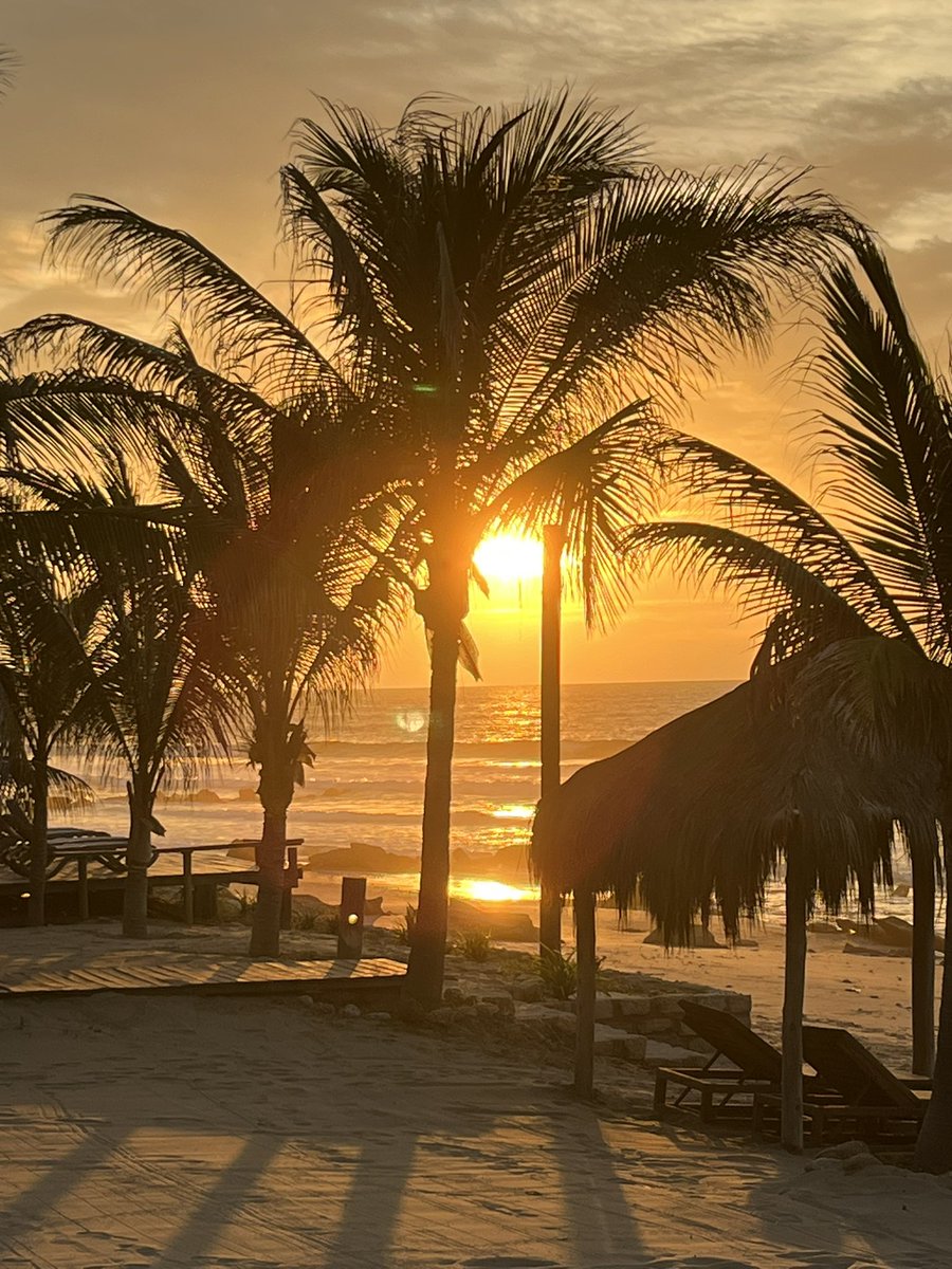 josetudelav's tweet photo. El rico norte #puntasal 😎☀️ https://t.co/mUBtCQQcDz