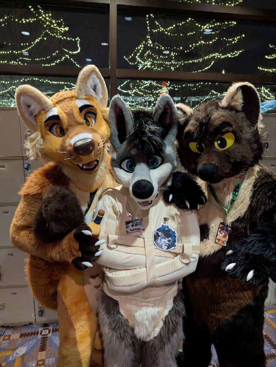 It's #Mar10! Thinking about these martens that captured me last MFF! 

<a href="/MalortMarten/">Jeppson the Pine Marten</a> <a href="/Rakhan/">Rakhan</a> 

📸 @Ryker_Mutt
