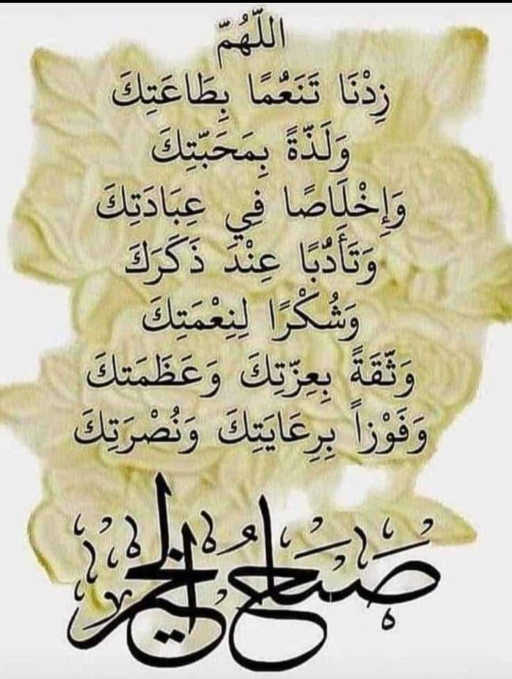 عاشق الورد (@s8vd1ecwprmkdag) on Twitter photo 