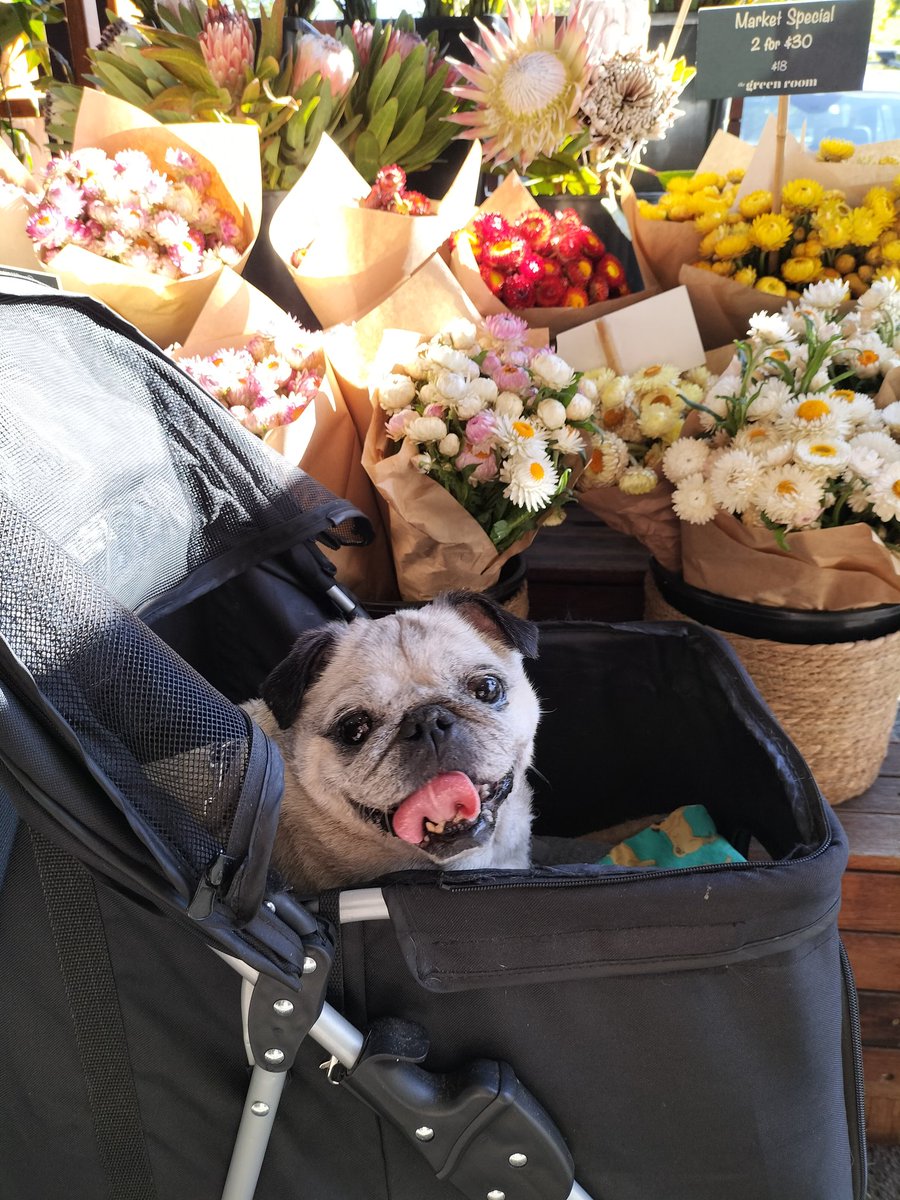 Chloe 🌈 tweet media