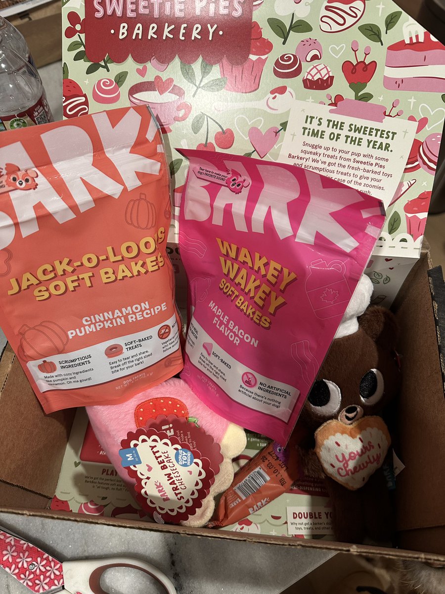 Bea Camp 🦄🌸✨ tweet media