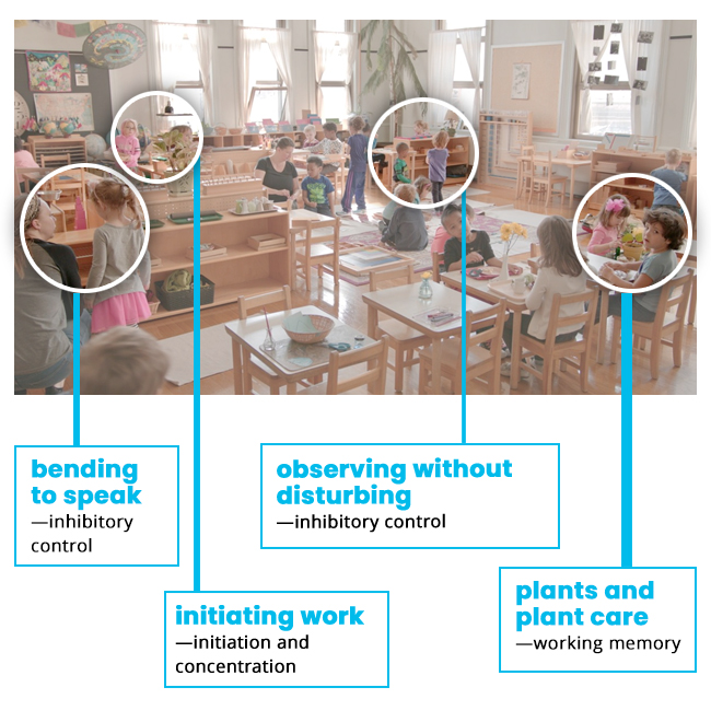 Five ways to support executive function in your classroom - mailchi.mp/public-montess…