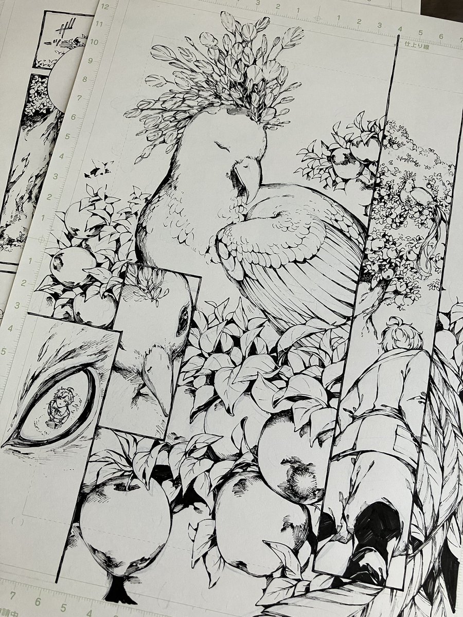 🕊️✨ 
