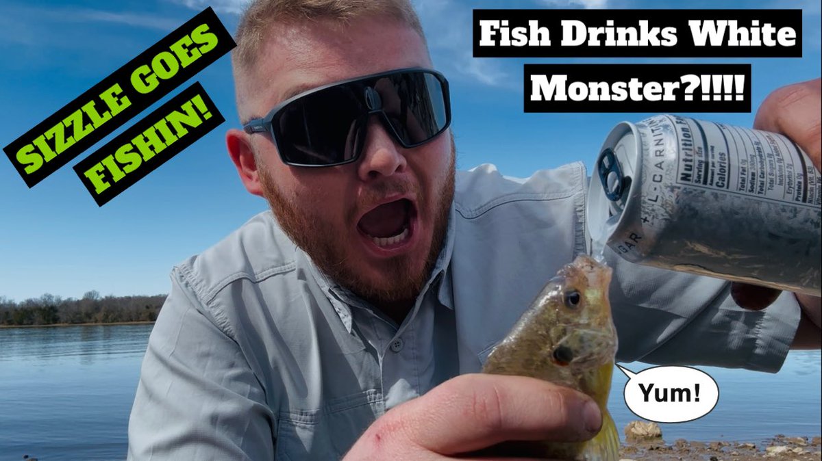 TNSizz's tweet photo. Sizzle Goes Fishin 3.

A fish drinks my white monster?!!!

Warm weather is here and this series is just beginning, excited to get out on the water more. 

Watch here: https://t.co/dbG1OGfKRA https://t.co/ACwzUt8hVo