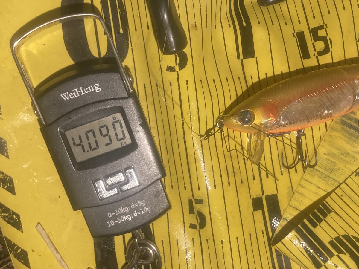 barberkuro2's tweet photo. 今シーズンやっと納得のできる魚に触れました☺️
ドシャローでリップラップの入ったエリアなのでネコソギXXXでは根掛かりが恐かったのですが
自作の『根掛かり防止ワイヤーガード』があれば何ともないぜ!
ただいまメルカリで絶賛細々販売中😘
#バス釣り #琵琶湖 #ウェーディング #ロクマル #60UP https://t.co/cfYaRX0Ozp