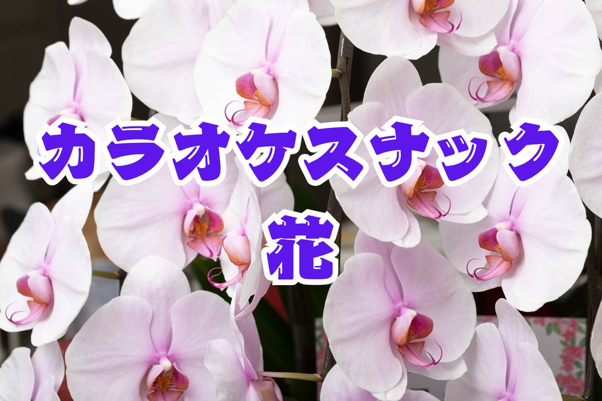 nasa_bar_new's tweet photo. 本日3/11(火)新しいスナック企画がスタートします！
カラオケスナック花
音響のレジェンド花岡さんと歌おう、語らおう。
3000円飲み放題(おつまみ付)
19:30〜22:30
※通常営業とは仕組みが異なりますので予めご了承ください🙇 https://t.co/7kJsNNNg2A