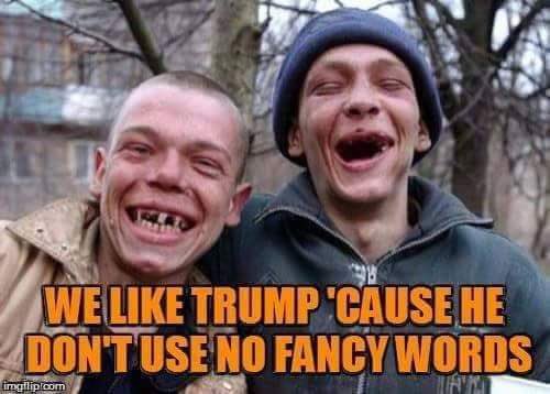 afridi_brigitte's tweet photo. @acnewsitics That about says it all. Except MAGA can’t even understand the easy words. So the phrase.. I’m gonna be a dictator on day one .. can easily slip by https://t.co/g3uQA0z5JQ