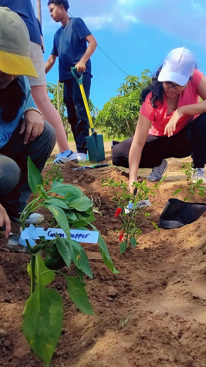 GreenBotswana's tweet photo. Students create an edible garden at an orphanage in Gaborone 🌶🥬🍅🫑 https://t.co/4lZgemPtAF