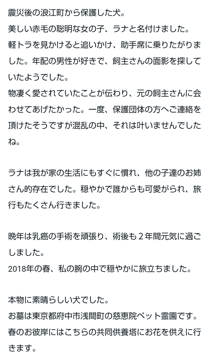 O3d7QBA68GJkMY8's tweet photo. こんにちは(о´∀`о)/
１４年前、震災後の浪江町から保護した犬の飼い主さんに届きますように。
拡散をお願いします🙏
#浪江町
#保護犬
#震災 https://t.co/zkyoEdtxtu