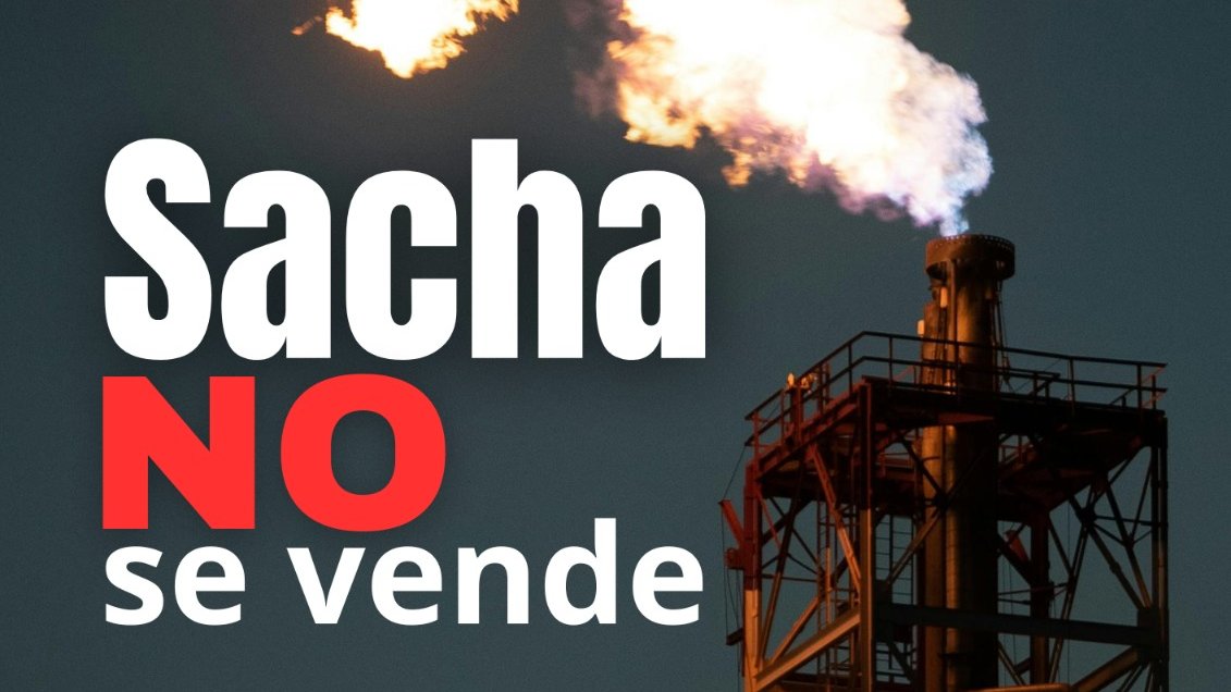 Jorgcaceres's tweet photo. El consorcio AMODAIMI-Petrolia no tiene experiencia ni solvencia. ¿Por qué entregarles el campo más rentable del país? #SachaNOseOrdeña #SachaSeDefiende #Lanfranco
@inesmanzano @DanielNoboaOk @Ordeno_Oficial @JoseJulioNeira @RecNaturalesEc @CynthiaGelliber @IsabelNoboaP https://t.co/5ORzQXac9h